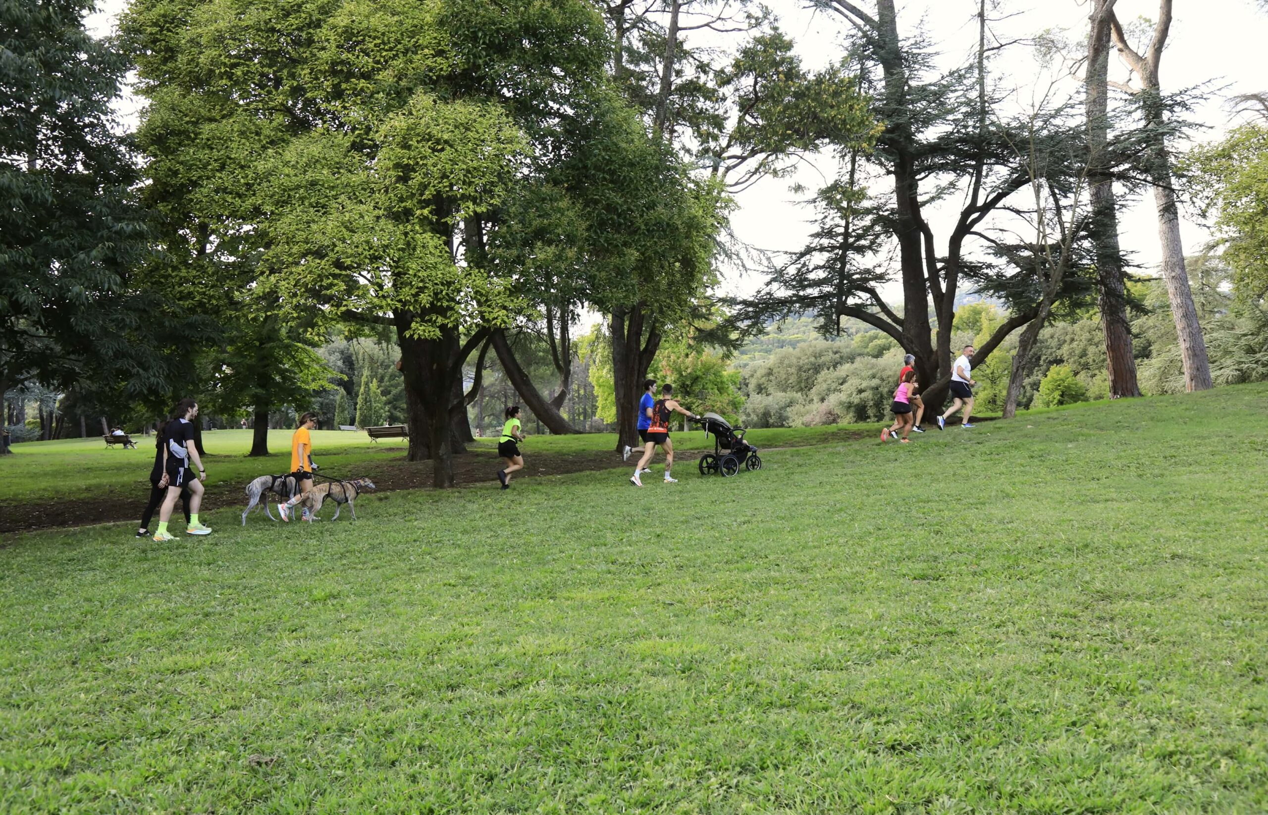 Parco “La Pineta”